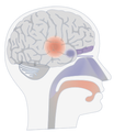Flavour Institute